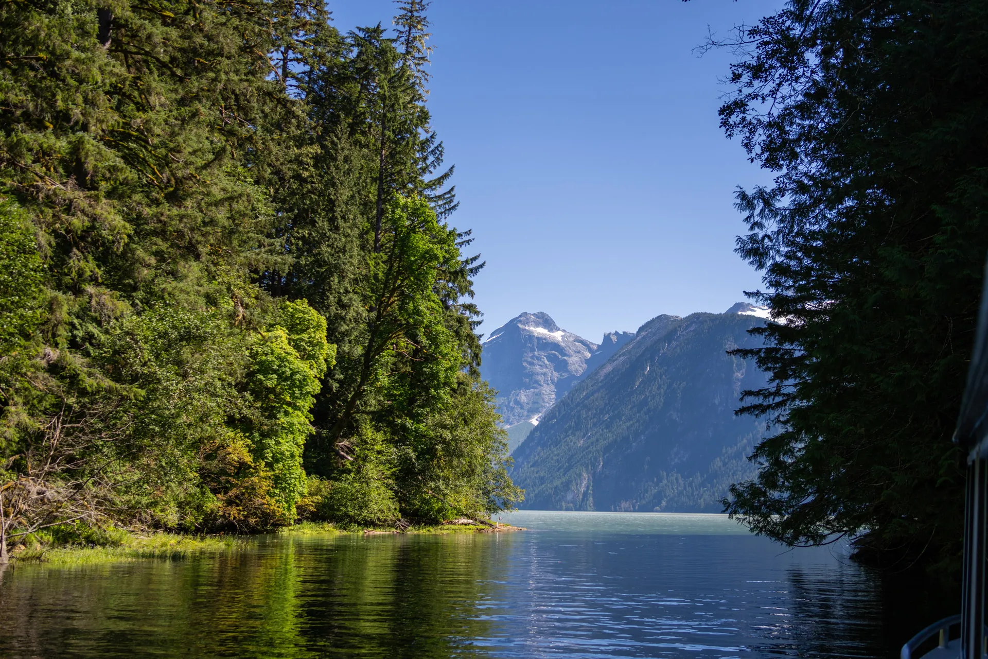 The inlet on a still morning, forest to the water and snow on the peaks