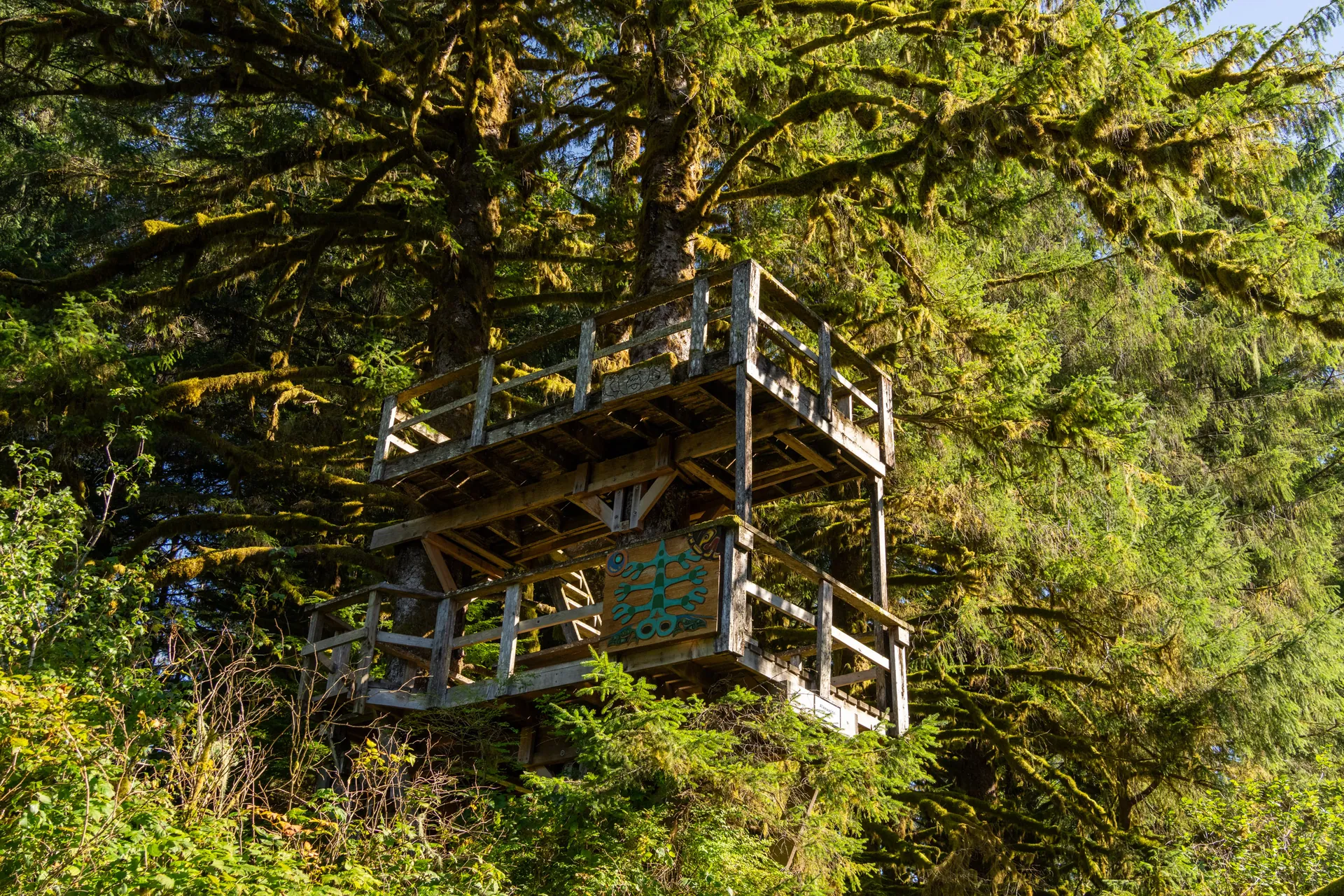 One of the viewing stands above the spawning channel, timber steps into the trees