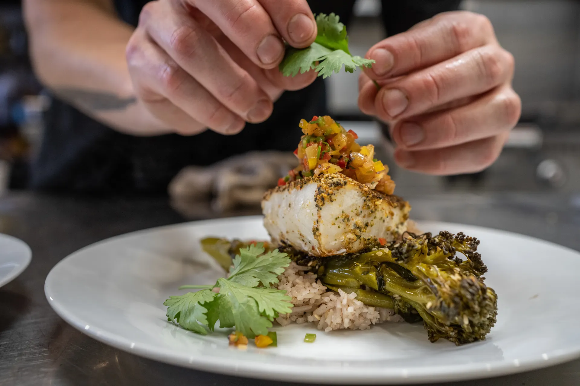 A chef's hands placing cilantro on a plate of grilled halibut over rice and charred broccolini
