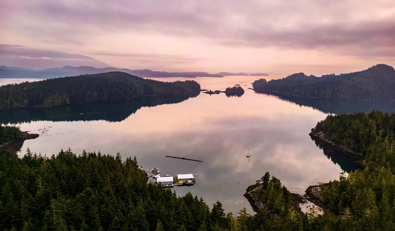 Aerial view over the Broughton Archipelago at sunset, still water reflecting a pink sky between forested islands, the lodge's floating building small in the cove