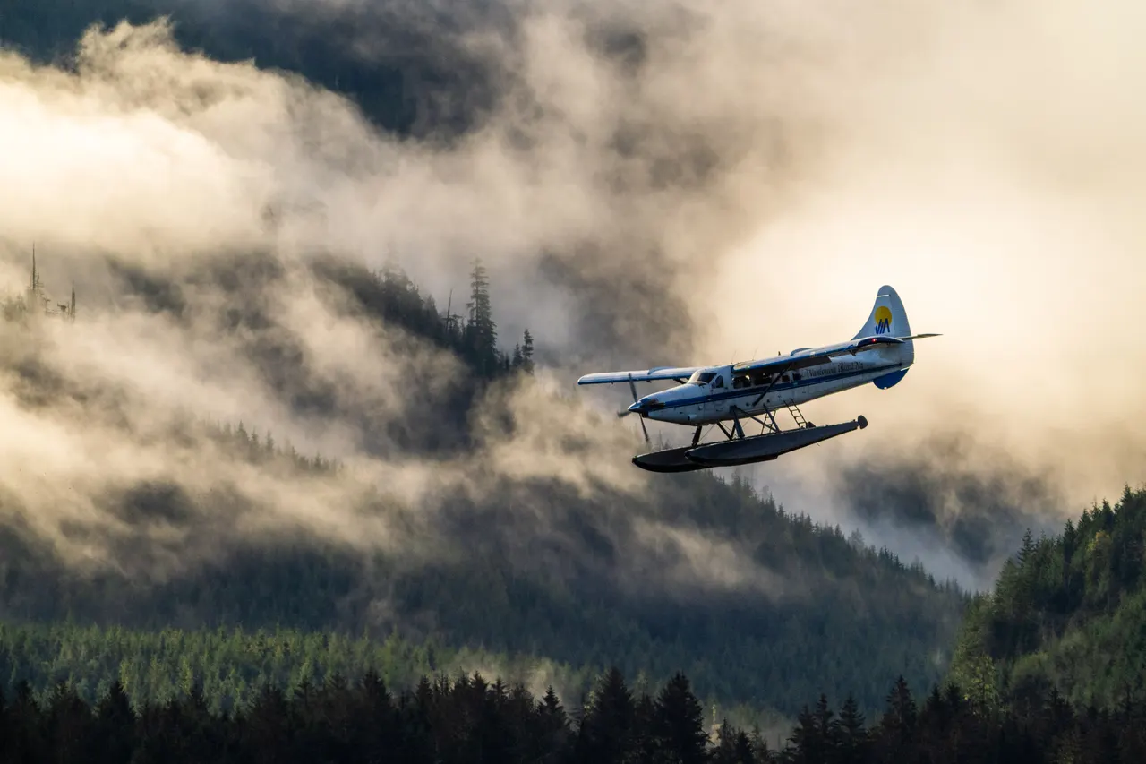 A Vancouver Island Air floatplane banking low over a forested ridge, fog pouring through the trees behind it in the morning light