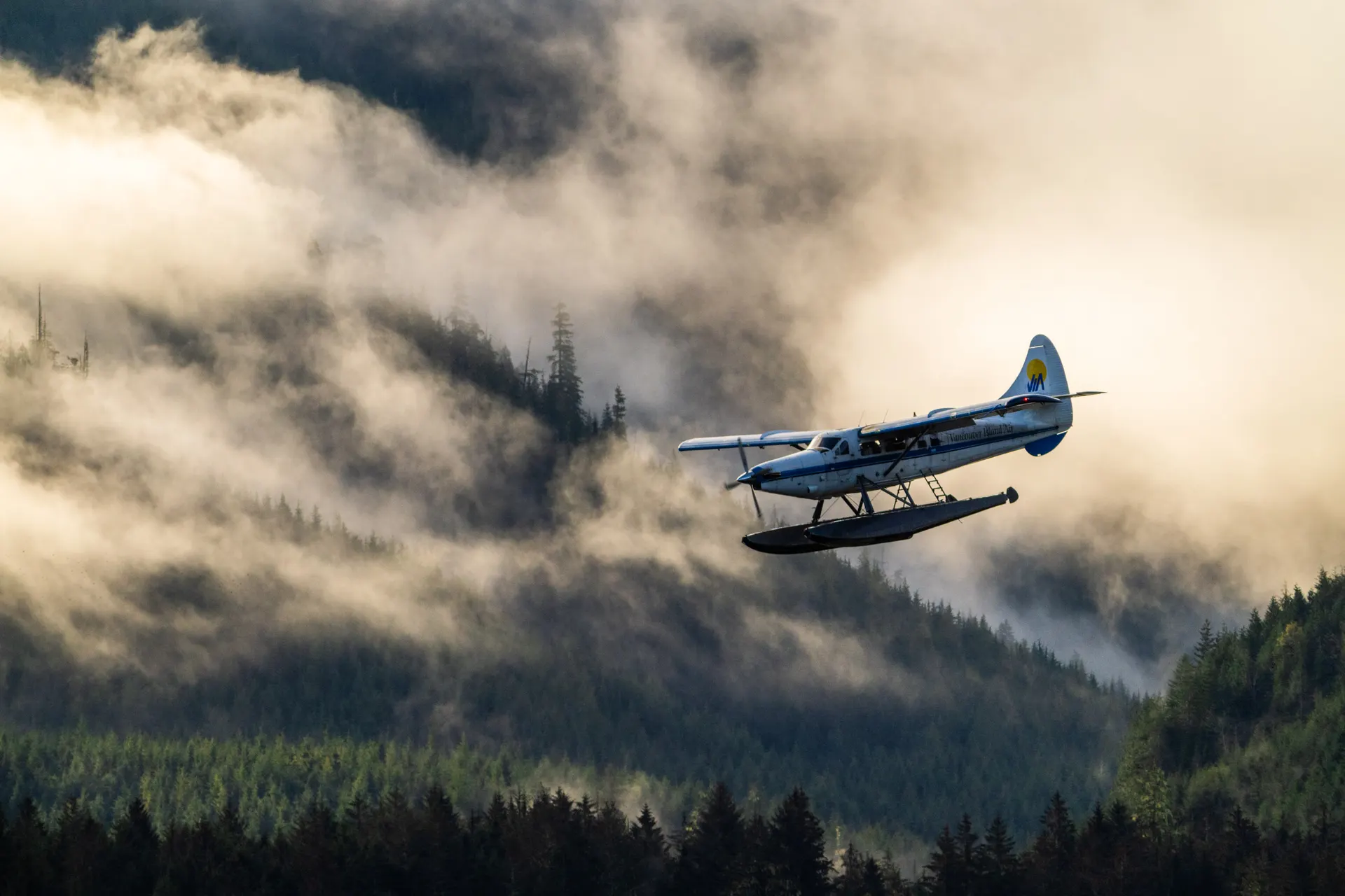 A Vancouver Island Air floatplane banking low over a forested ridge, fog pouring through the trees behind it in the morning light