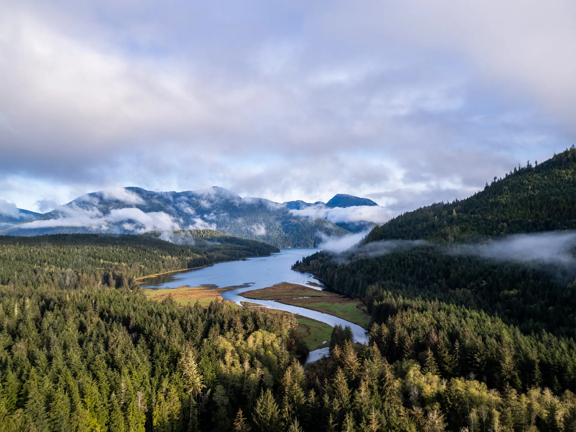 The Glendale River estuary from the air, the river winding through green sedge flats to the inlet, cloud sitting on the mountains beyond