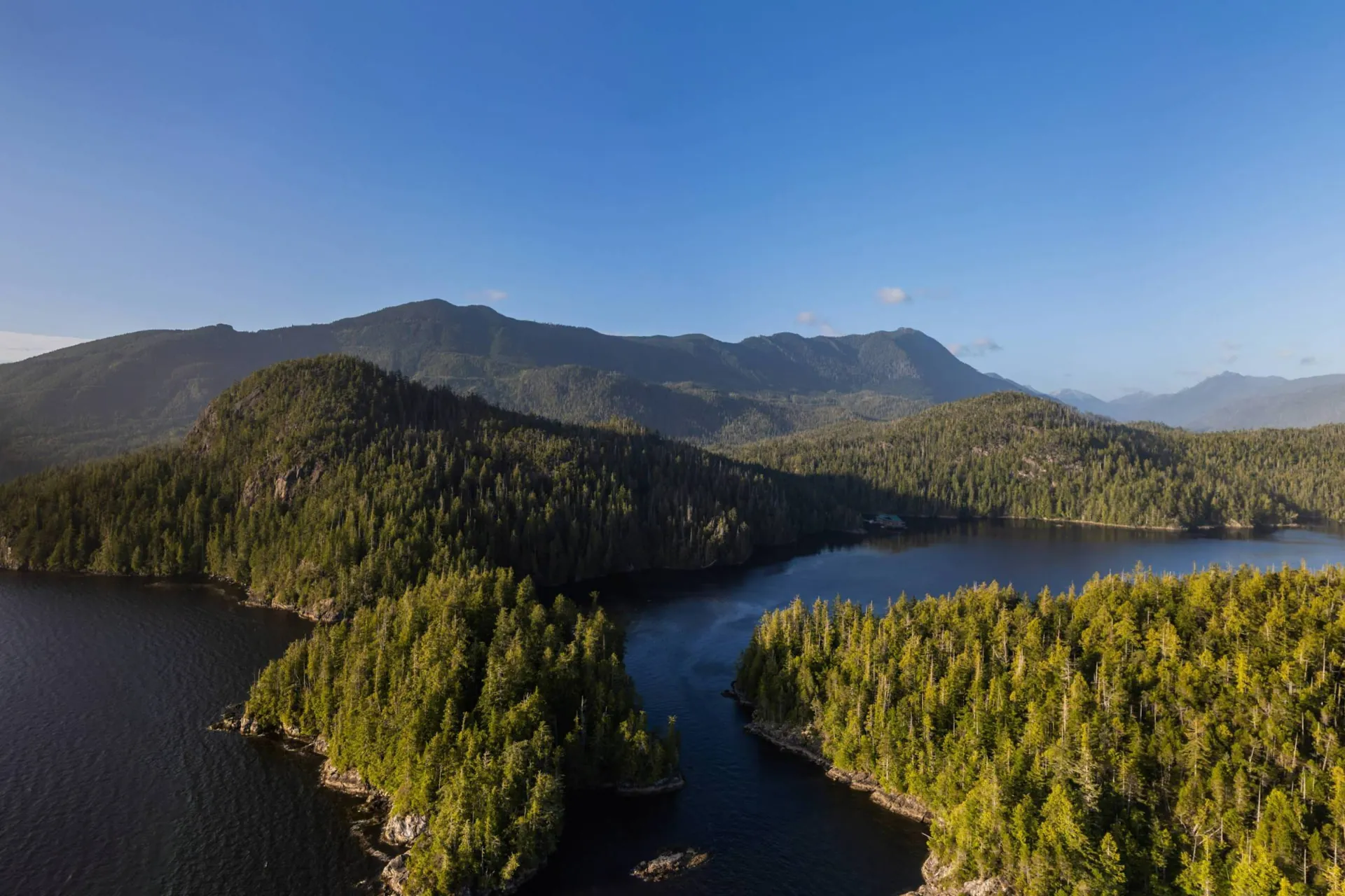 The channel into Quait Bay from the drone, forested headlands on both sides and the open sound behind