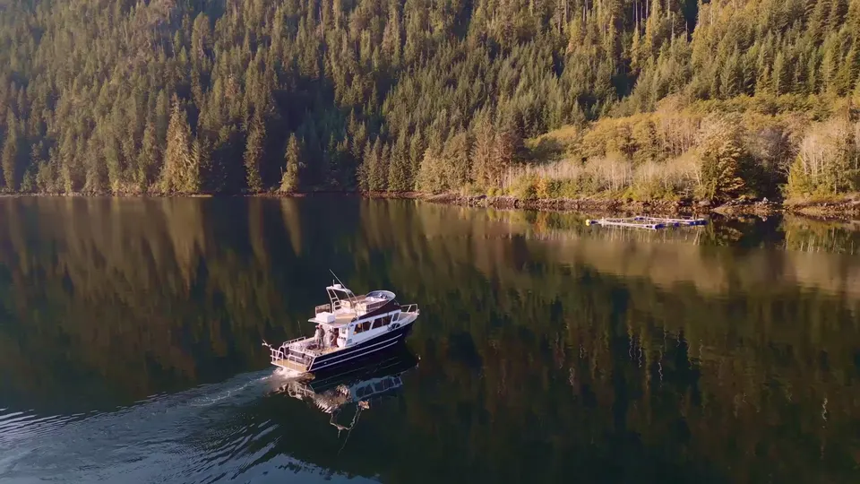 A charter boat crossing a still inlet below forested slopes, seen from the air