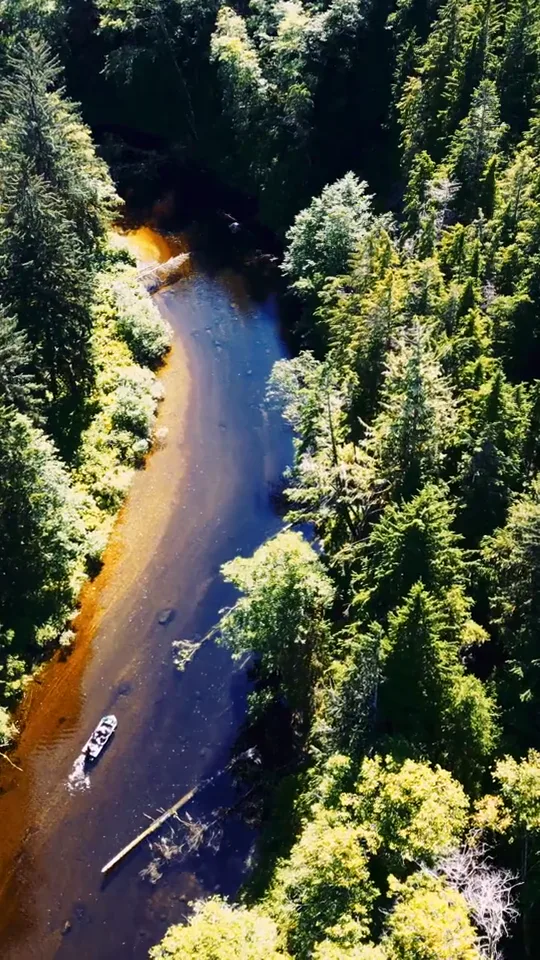 The estuary river from the air, a skiff on the water between banks of forest
