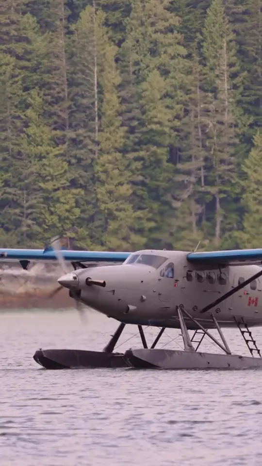 A floatplane taxiing on the water at Knight Inlet Lodge, the rainforest behind it