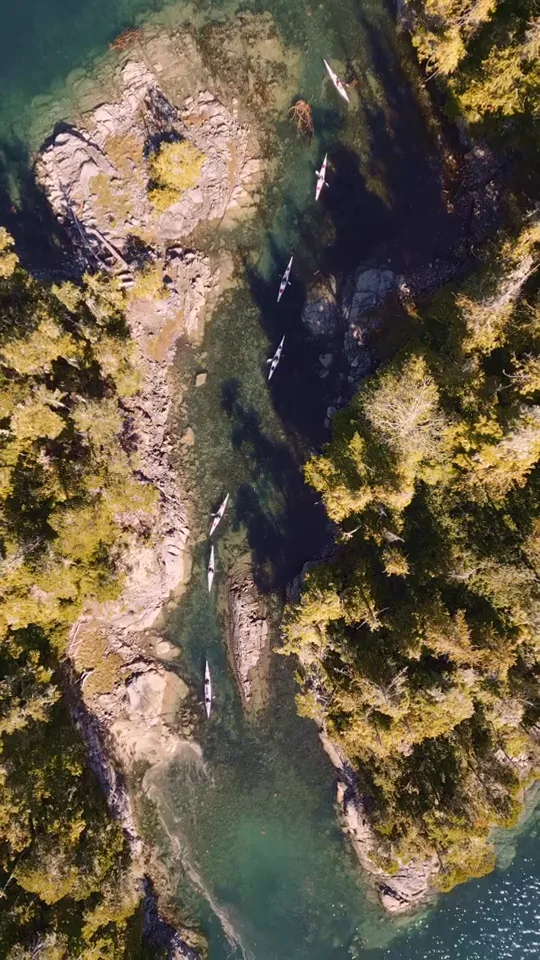 A line of sea kayaks from directly above, threading a sunlit channel between rocky islands and forest