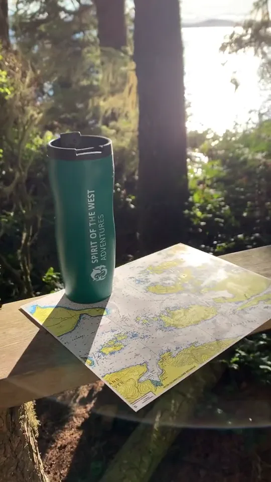A steel camp mug and the day's chart on a table under the trees, the strait bright beyond