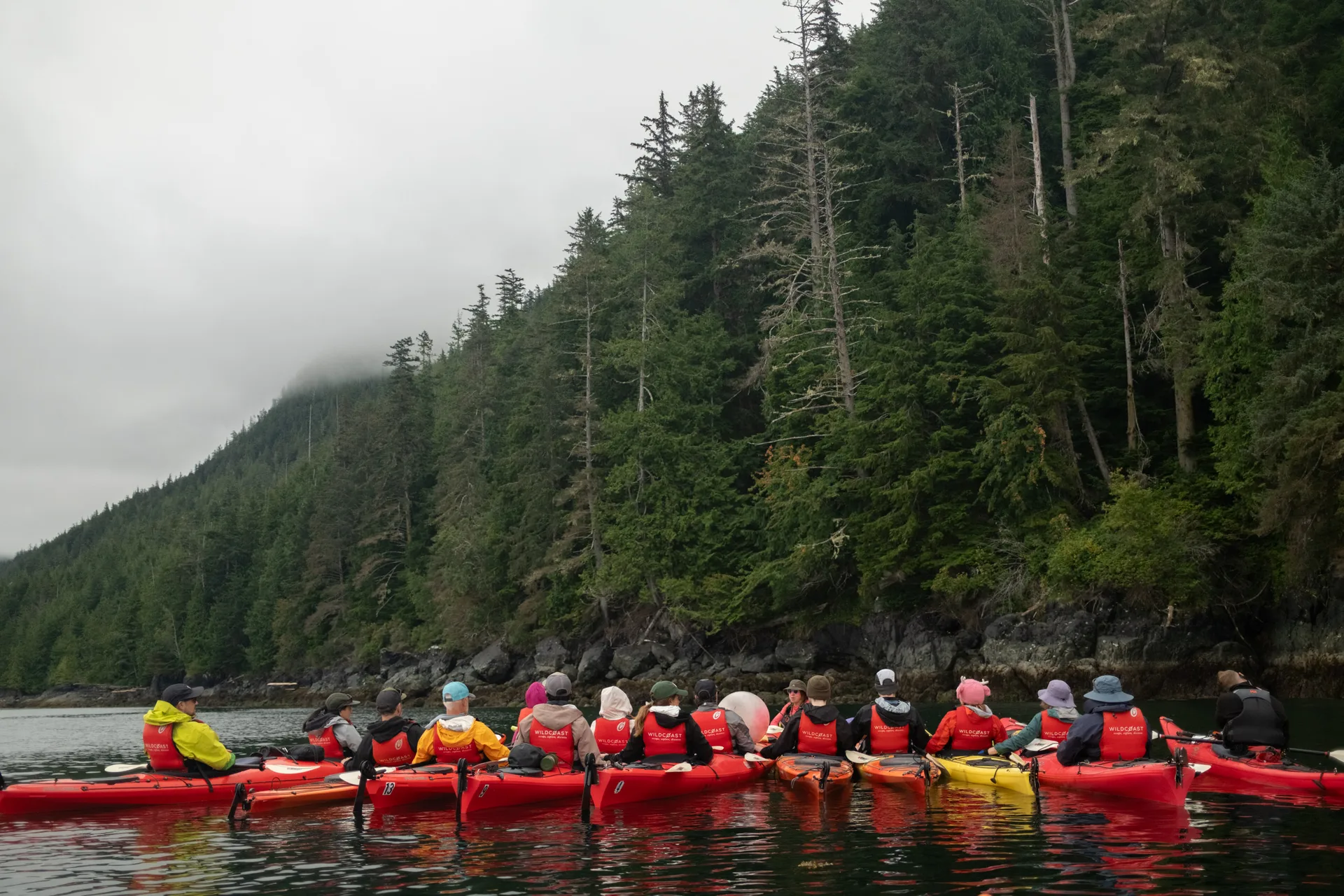 A raft of red sea kayaks holding position below a forested shoreline under low cloud, every paddler in a hat and a red life jacket